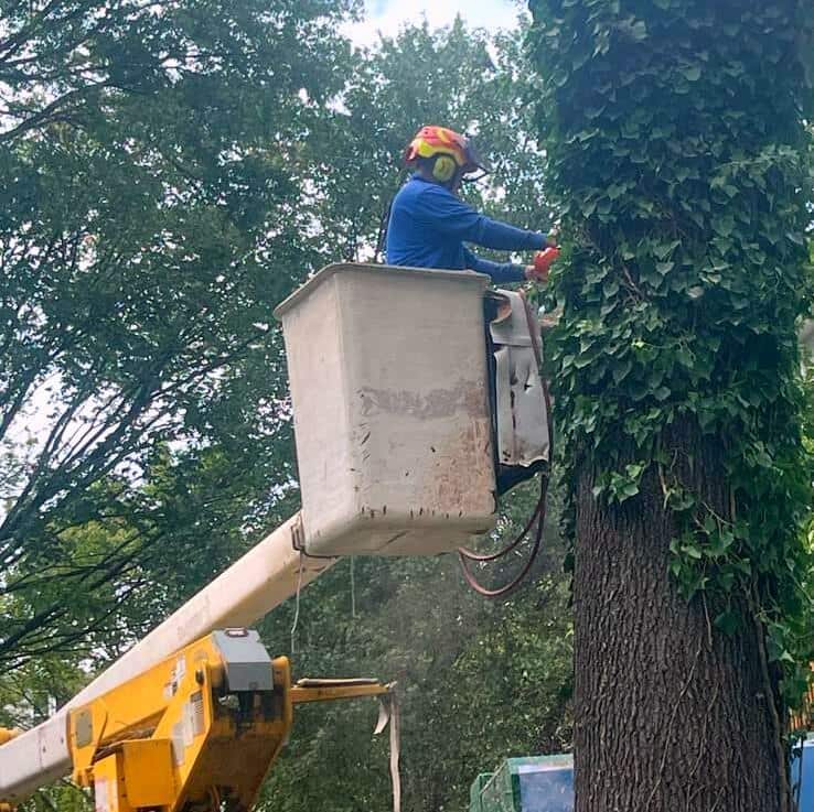Hernandez Brothers crew at work on a Charlotte property